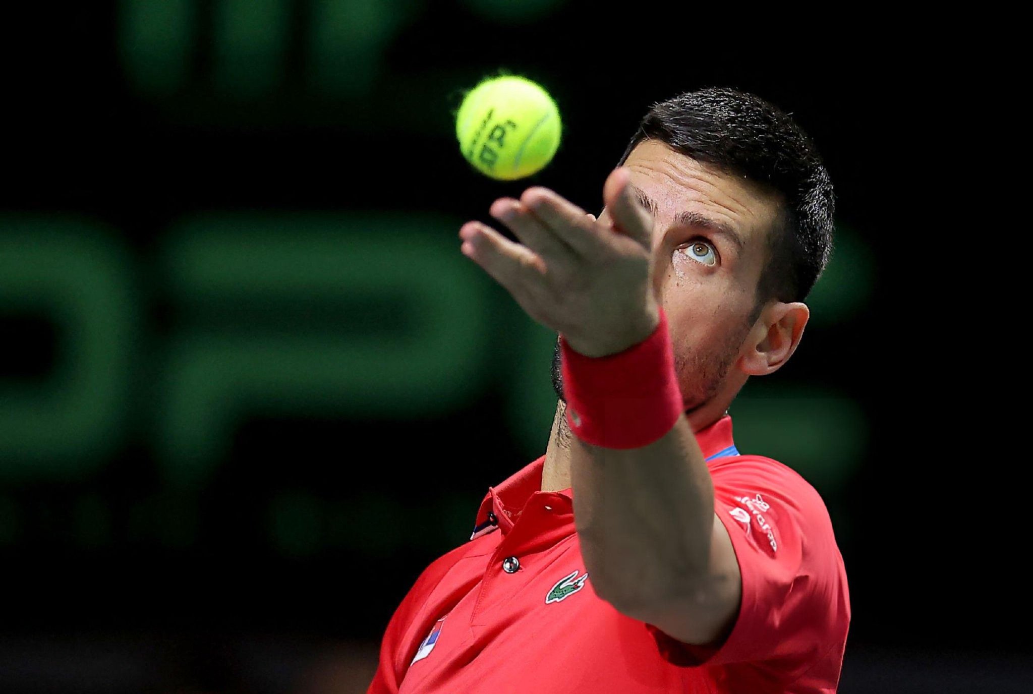 戴维斯杯轻取法网，德约科维奇关键制胜的简单介绍