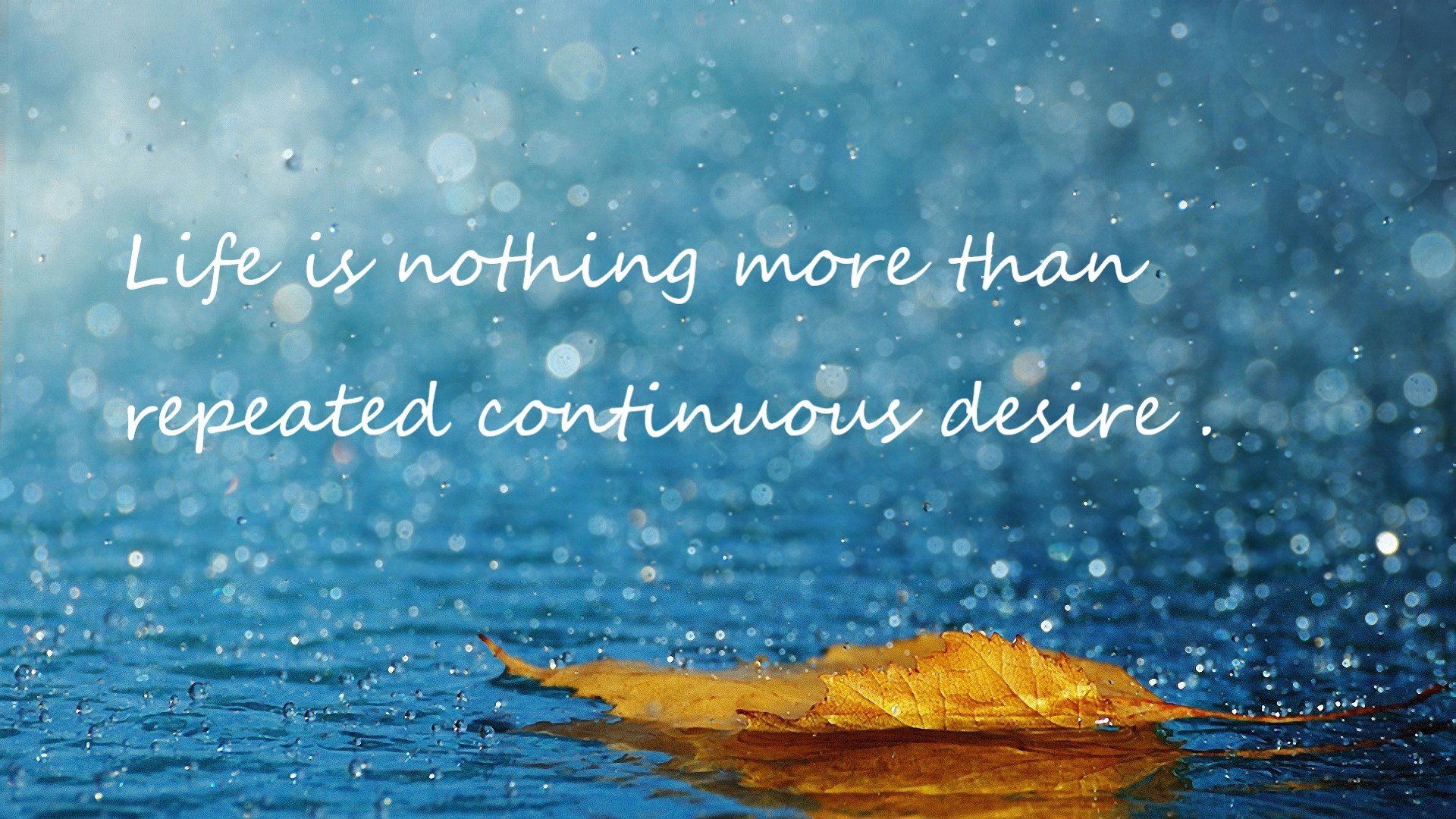 天穹坠落之夜，摩洛哥猎鹰撕裂蓝月，旧将阿什拉夫弑杀救主