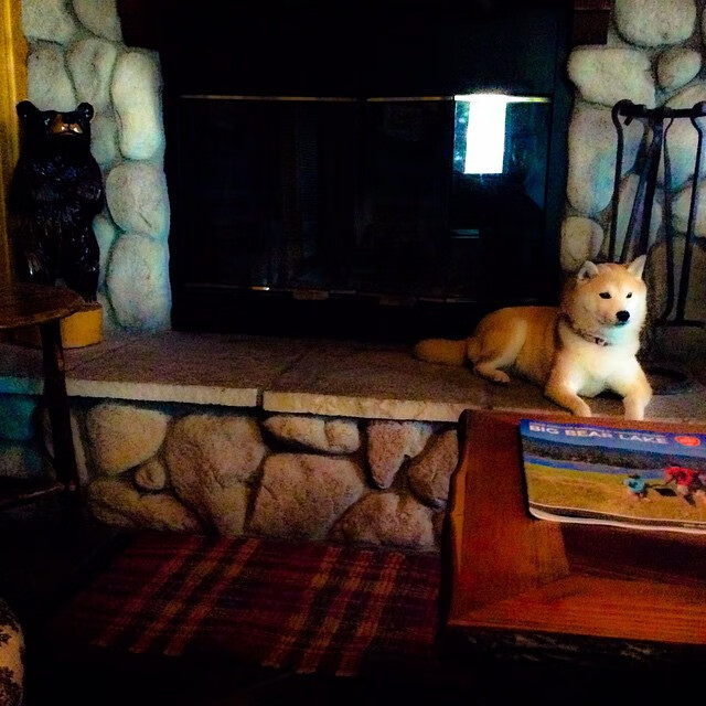 北极光与草原雄鹰的相遇,若日尼奥在芬兰与乌拉圭的矛盾之战中编织中场魔法